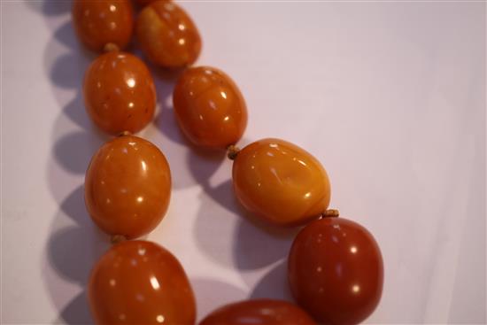 A single strand graduated oval amber bead necklace, 30in.